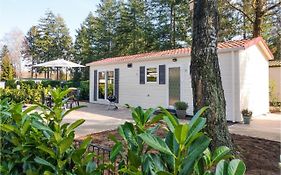 Amazing home in Vorden with 2 Bedrooms&WiFi